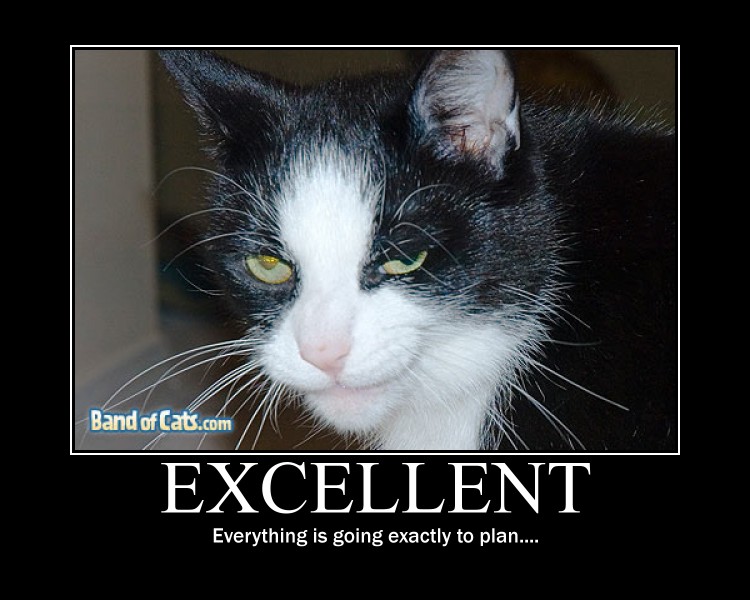 evil_cat_by_konfan2.jpg