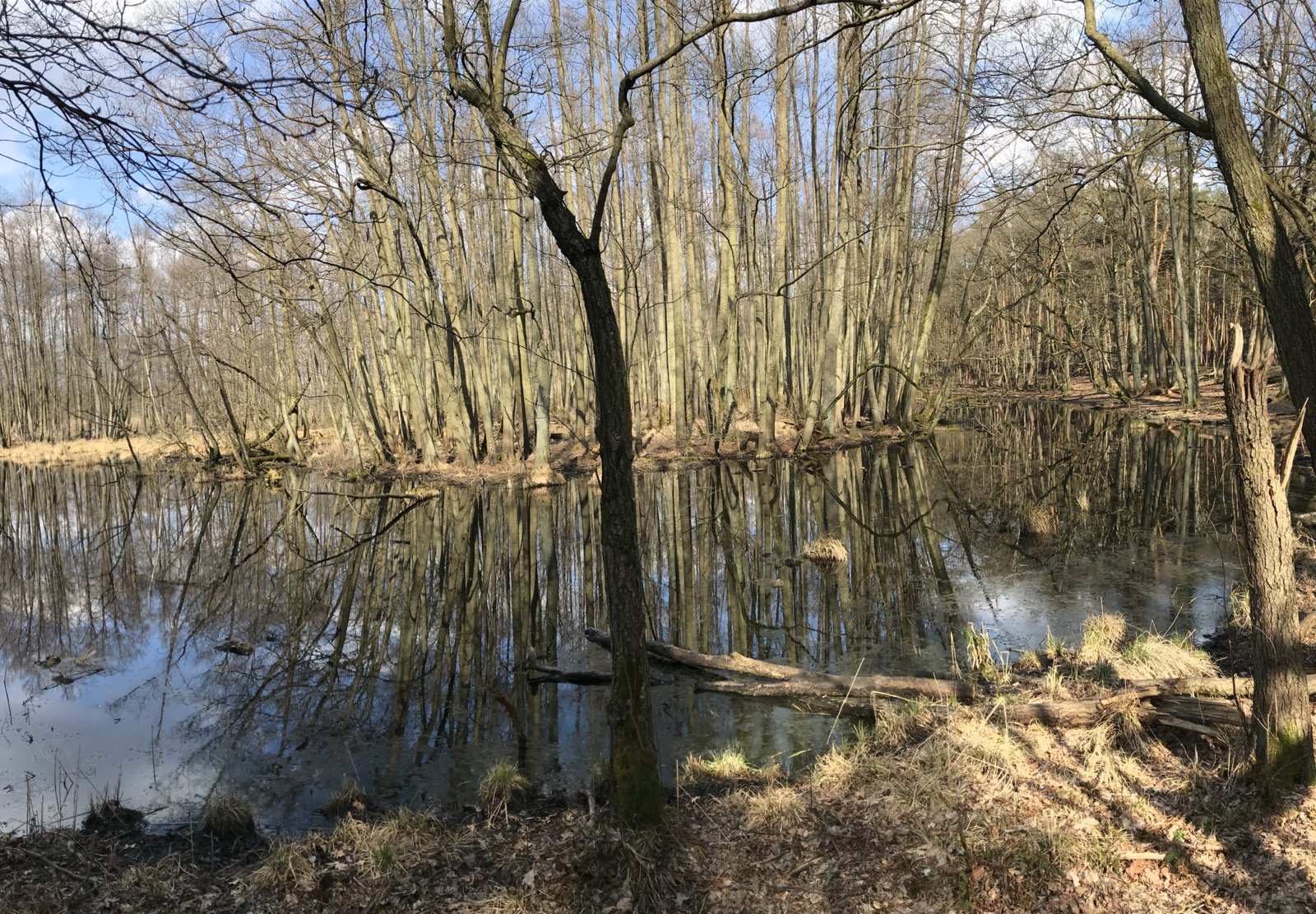 F0083B38-5B99-4BBB-82F5-319475686709.jpeg