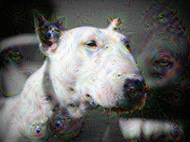 f19a26bb-c203-455b-ba99-914d2009bdb7.jpeg