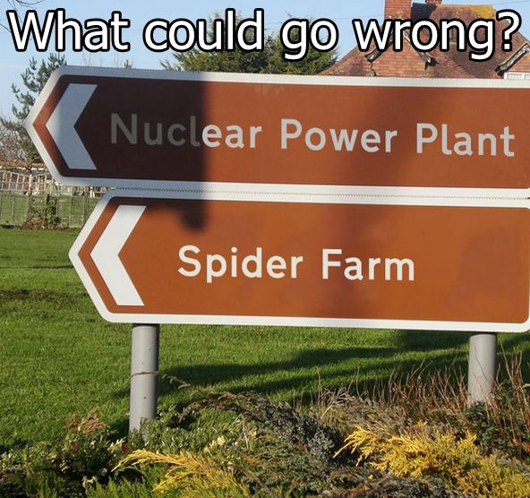 f1b13d7c79c6dd02924bec6a773e3b57--spider-humor-scary-funny.jpg