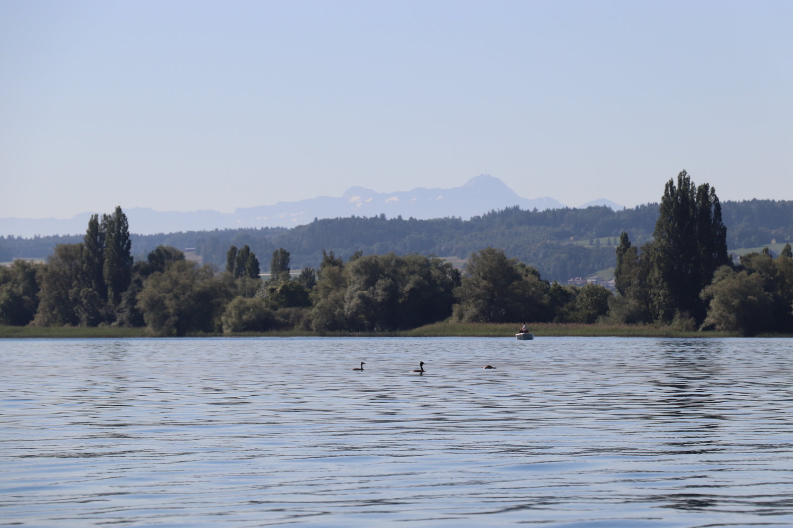 F40895C6-93AC-46D1-AAB7-B789D0E117FE.jpeg