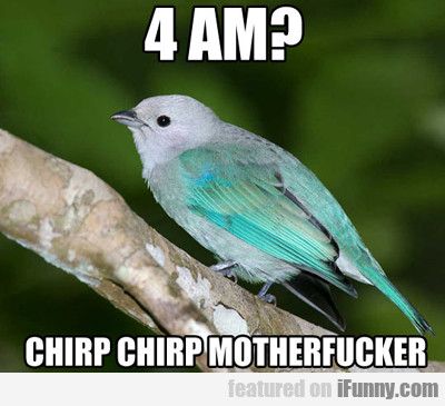 f493c8f84c3f6afd83b7408968419b8f.jpg