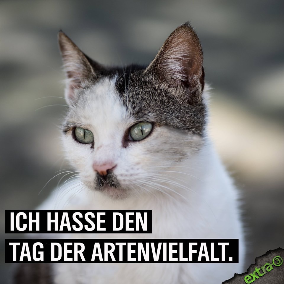 F4C569C8-E54B-4A72-BF92-7D3F9FD387A5.jpeg