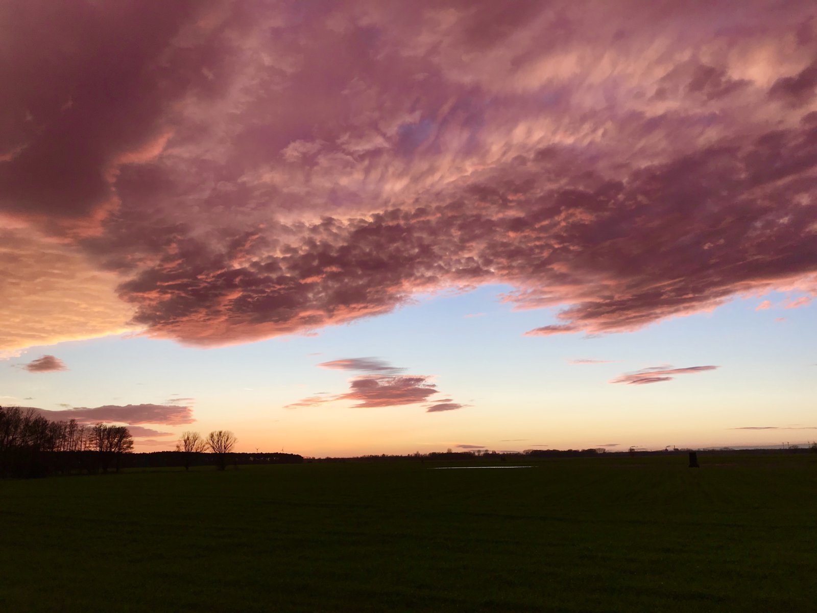 F5547807-D8A2-440B-8CD0-913E5DE045AE.jpeg
