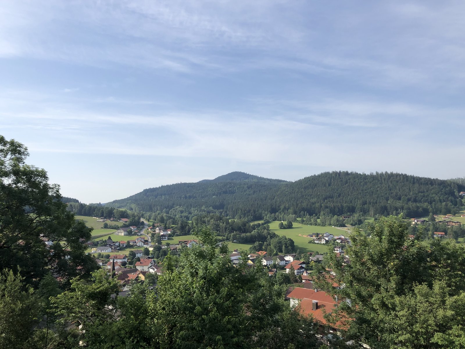 F7EF0643-7F2C-429B-9A01-8EBFECAD27BC.jpeg