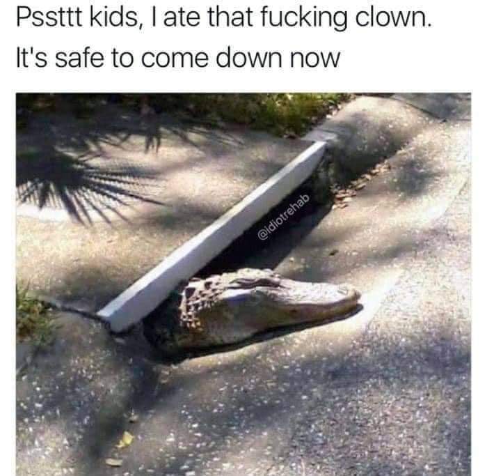 F87586F1-8052-4246-BD35-78B3A81D7BD4.jpeg