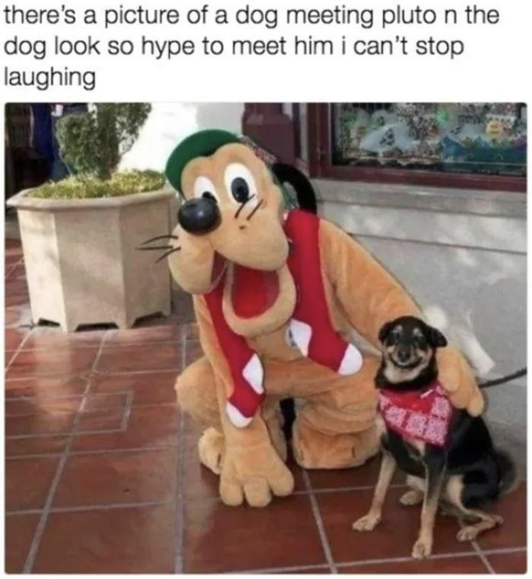 F891328E-7347-4B27-BF07-F0EDFBDC0003.jpeg