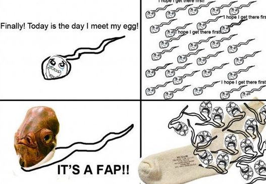 fap.JPG
