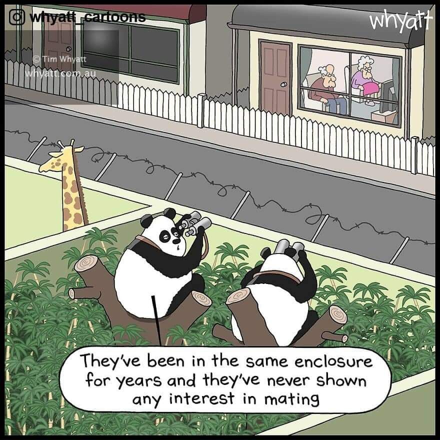 far side - panda.jpg