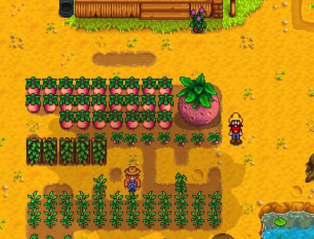farm.jpg