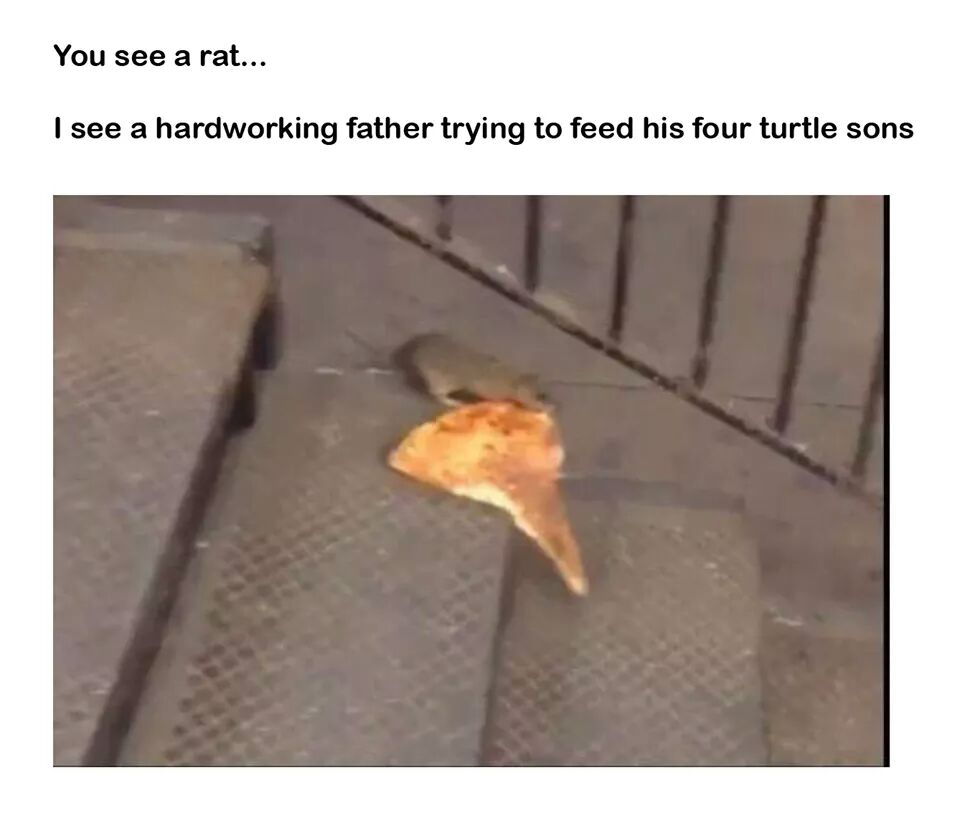 FB_IMG_1461534917345.jpg