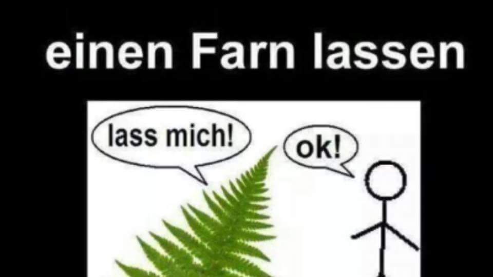 FB_IMG_1463998006294.jpg