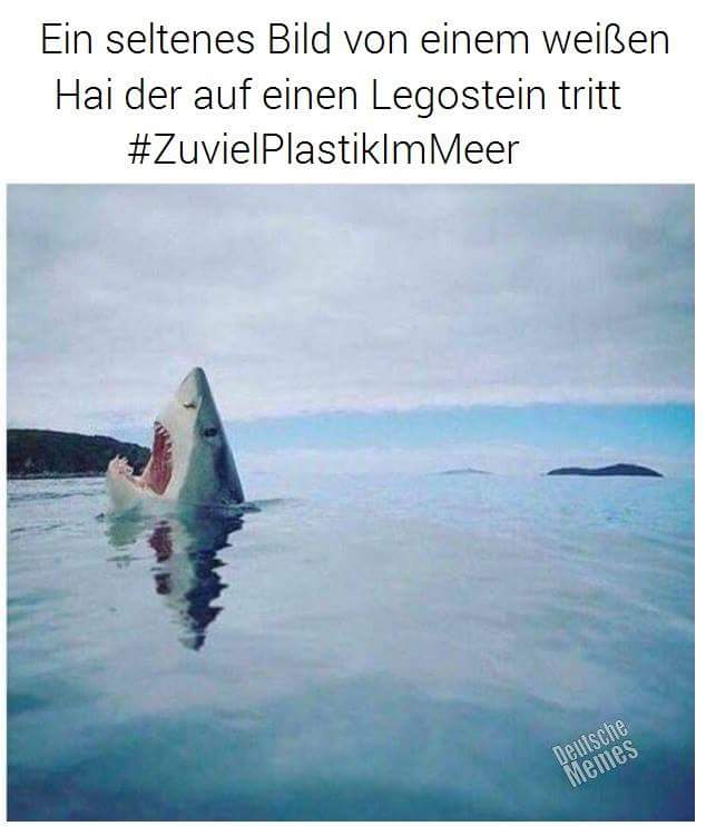 FB_IMG_1475344989952.jpg