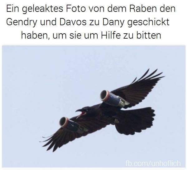 FB_IMG_1503331665758.jpg