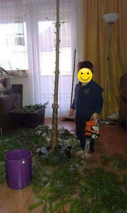 FB_IMG_1513758582009.jpg