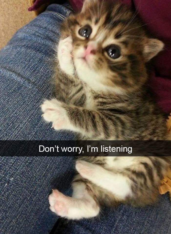 FB_IMG_1520569544298.jpg