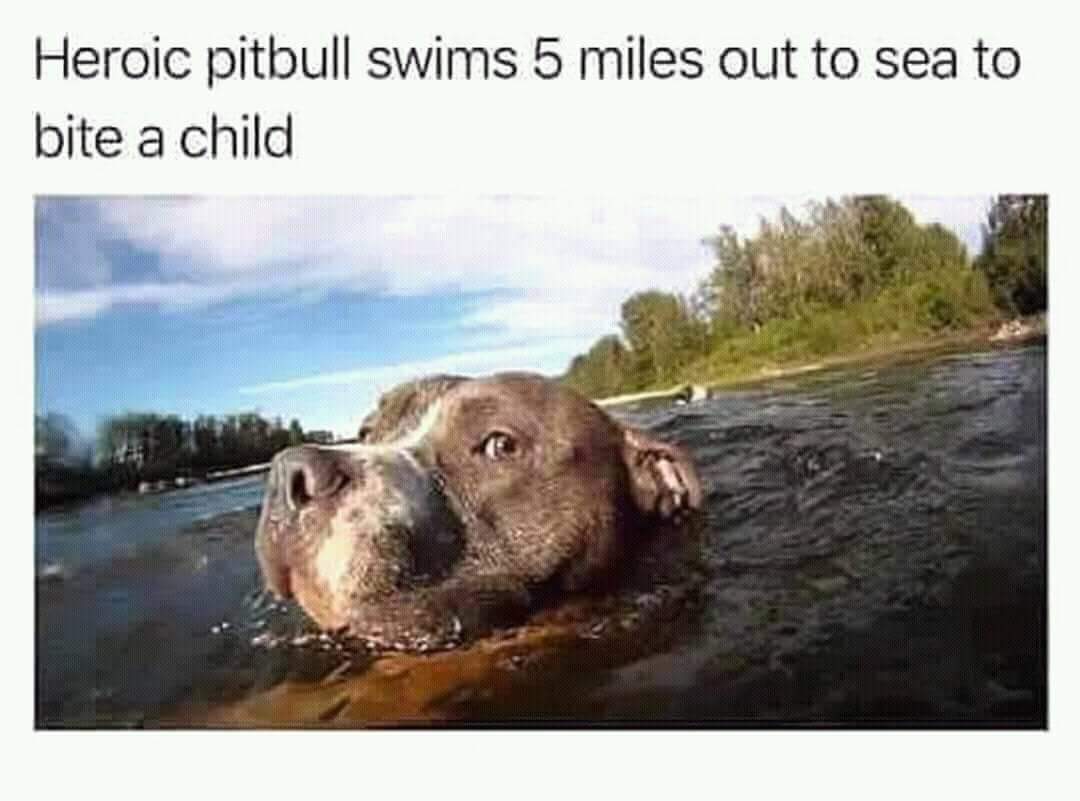 FB_IMG_1524512477790.jpg