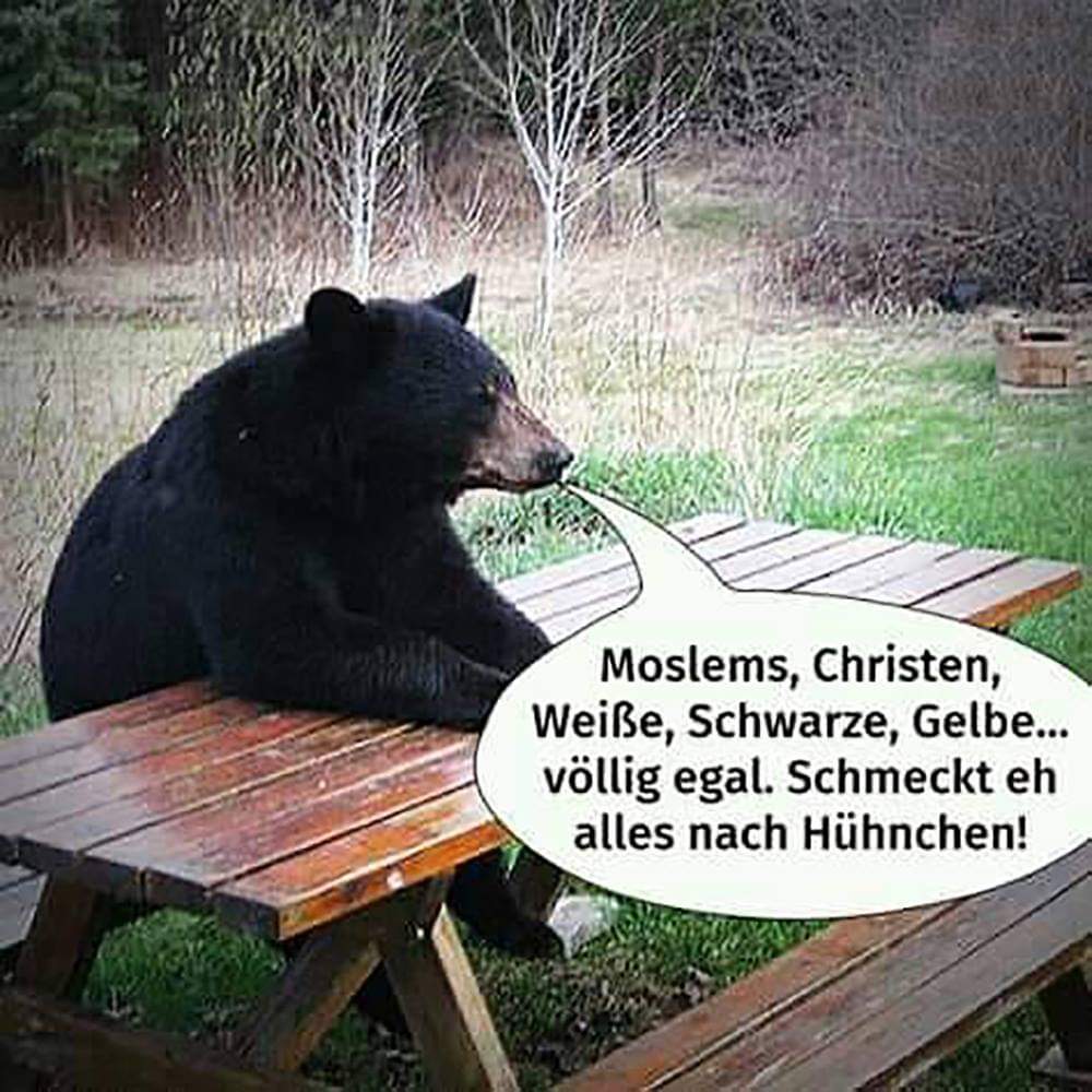 FB_IMG_1541015120432.jpg