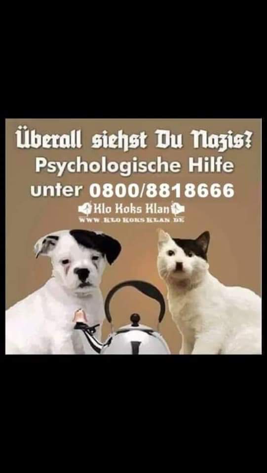 FB_IMG_1550066410464.jpg