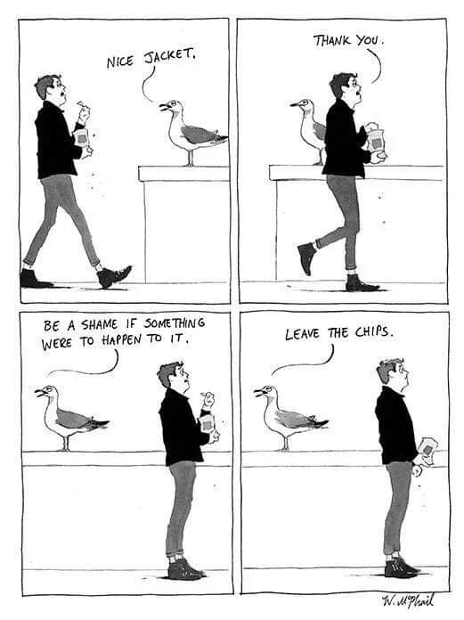 FB_IMG_1553437872572.jpg