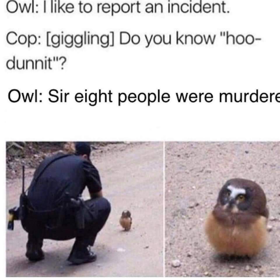 FB_IMG_1575326283104.jpg