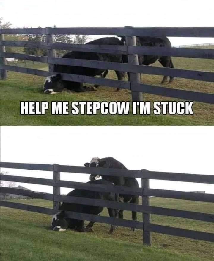FB_IMG_1599738017144.jpg