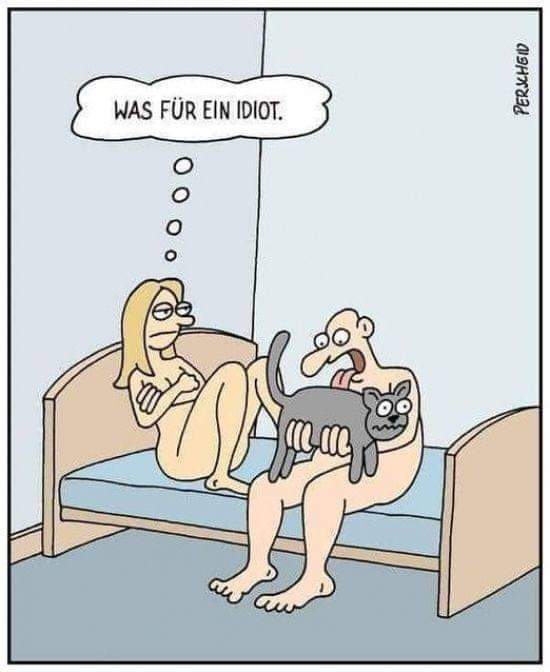 FB_IMG_1680243230660.jpg