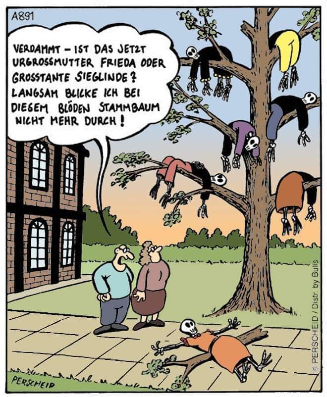 FB_IMG_1687730122823.jpg