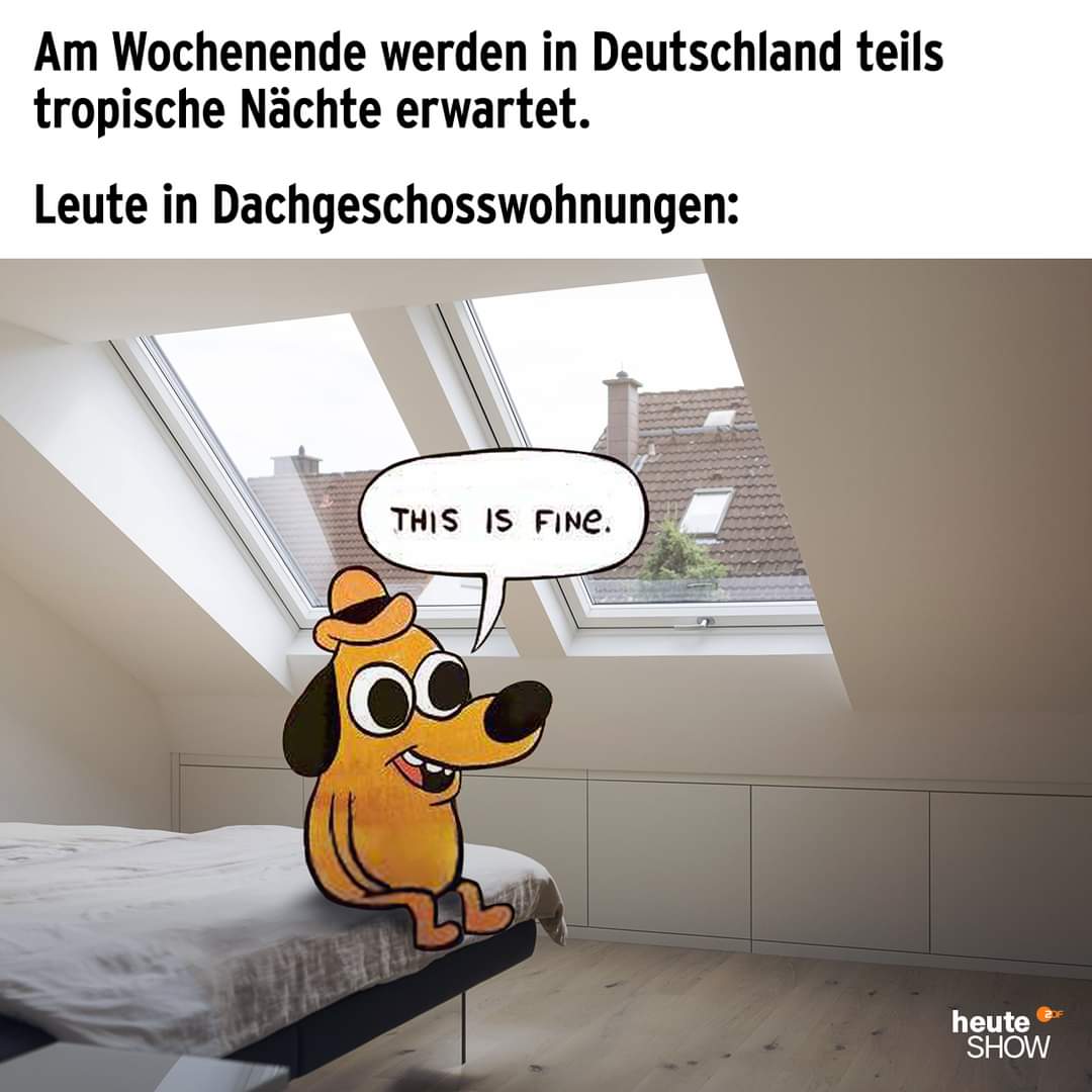 FB_IMG_1688741360230.jpg