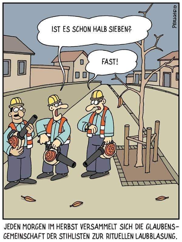 FB_IMG_1699491479960.jpg