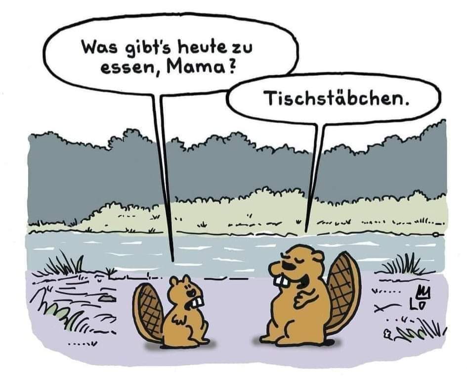 FB_IMG_1707685569001.jpg