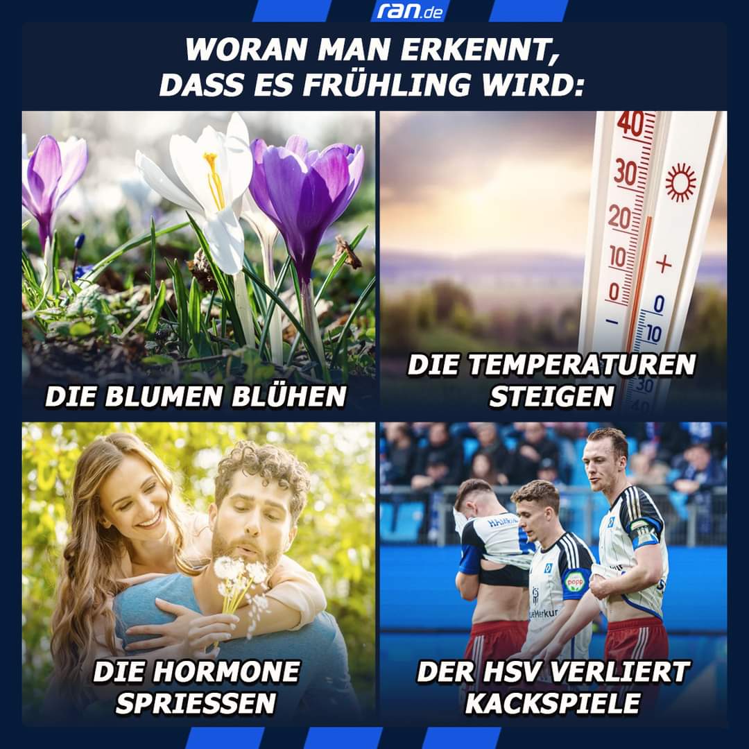 FB_IMG_1709622615656.jpg