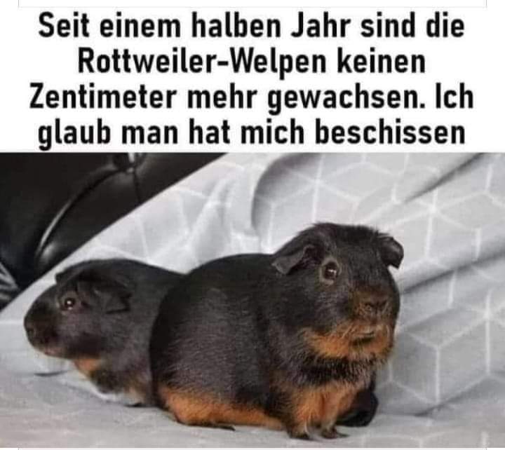 FB_IMG_1715435310079.jpg