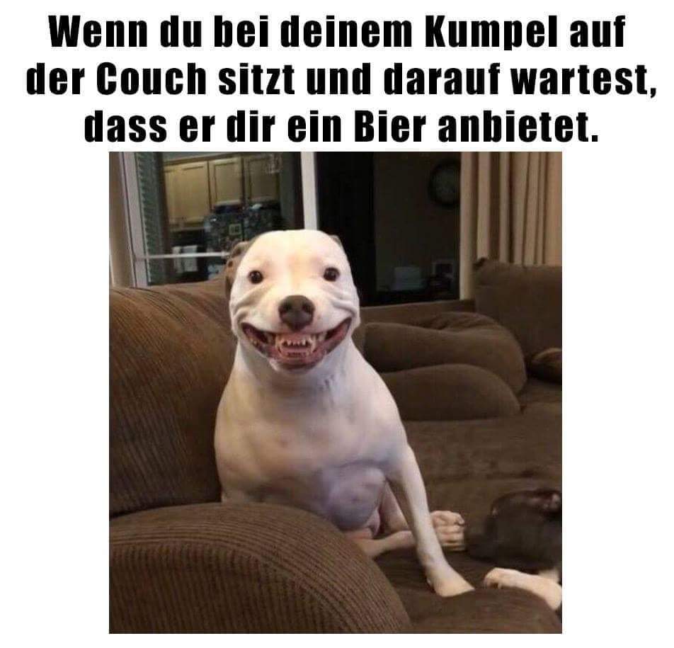 FB_IMG_1719361177974.jpg