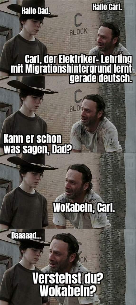 FB_IMG_1731147356955.jpg