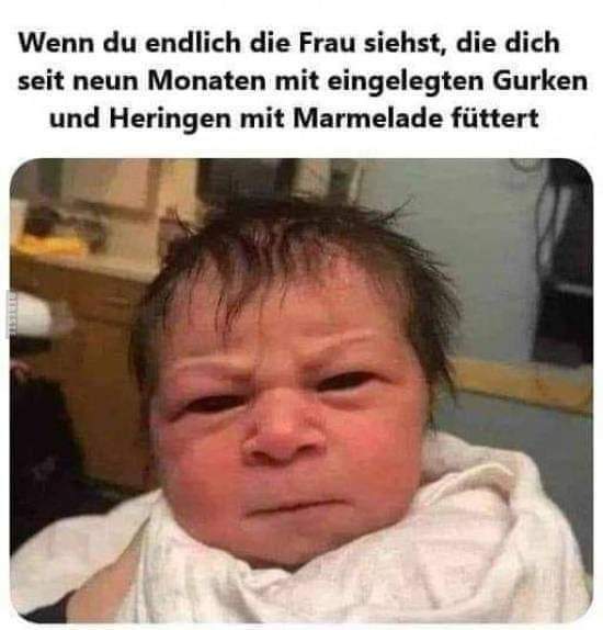FB_IMG_1731690618815.jpg