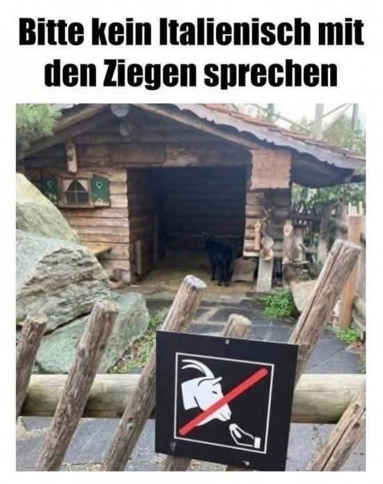 FB_IMG_1744351111737.jpg
