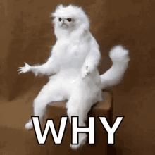FCEFE301-70CA-4F8A-9EC7-25C34A1A31B1.gif