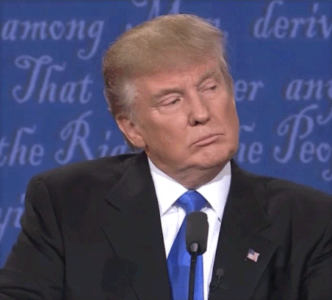 FE374F99-2BD7-429D-9B01-D4DDB07D43A8.gif