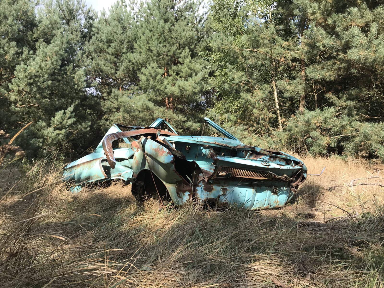 FEF85877-F0B0-4817-8E5F-ACC1DE369260.jpeg