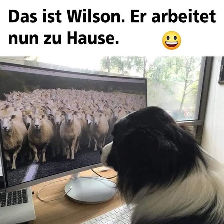 FF94B7E6-6A79-4071-9C47-78EE06C86EE5.jpeg