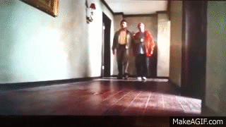 FIbPp5.gif