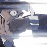 fikka1_100.gif