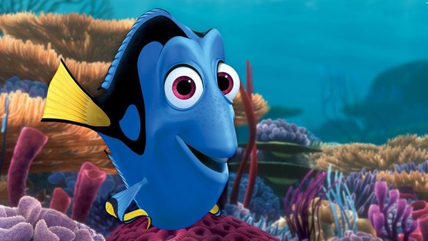 findet-dory_2718172.jpg