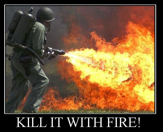 fire.JPG