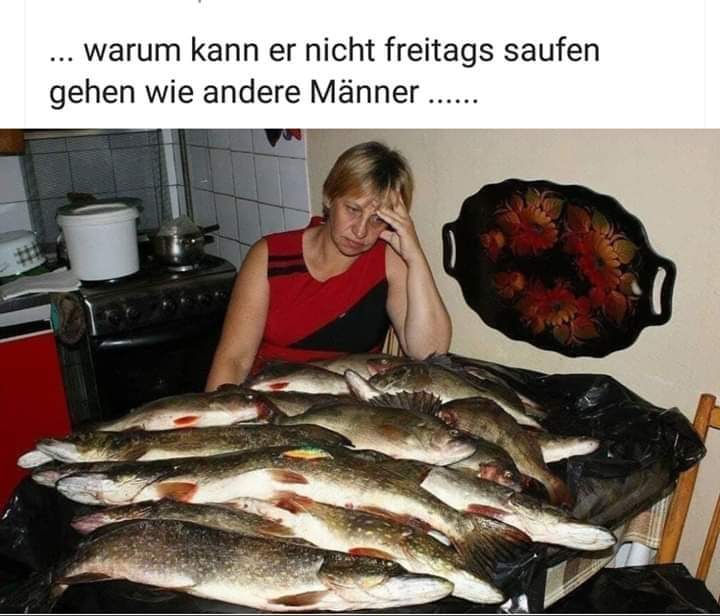 fisch hobby.jpg