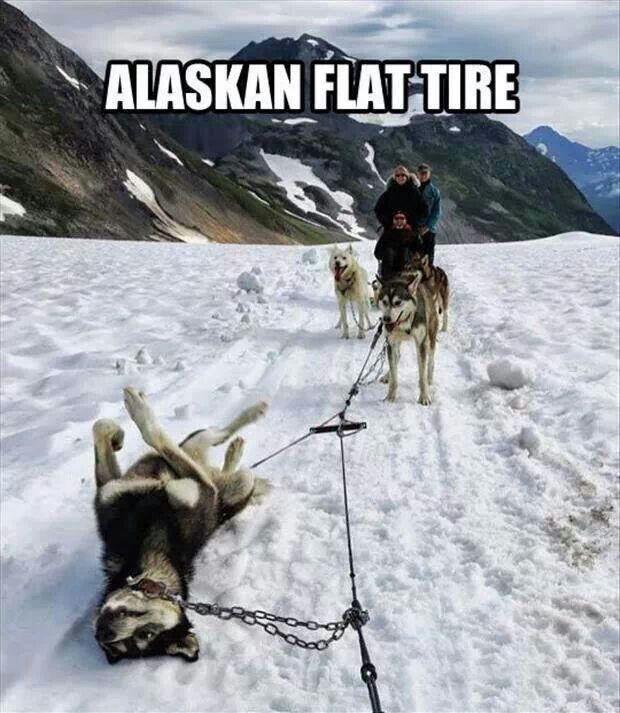 FLAT TIRE _ Clean Humor _ Pinterest.jpg