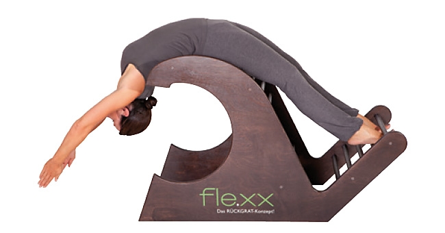 flexx-konzept.jpg