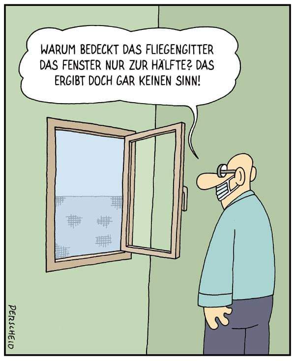 fliegengitter.jpeg