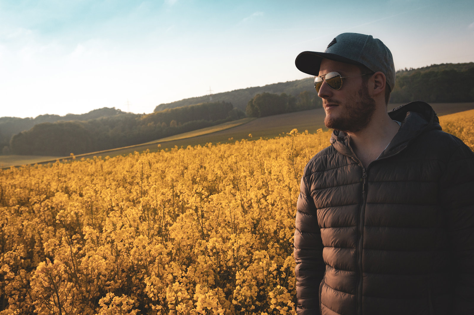 Flower Field.jpg